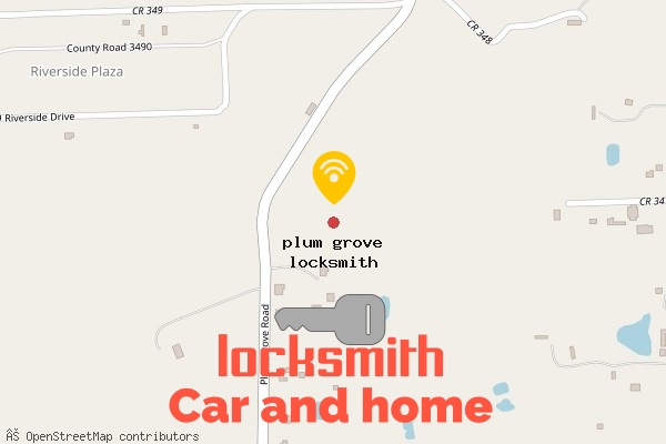 locksmith in plum grove