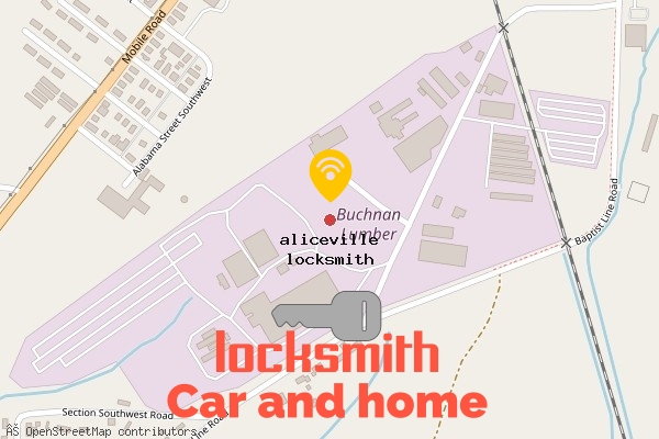 locksmith in aliceville