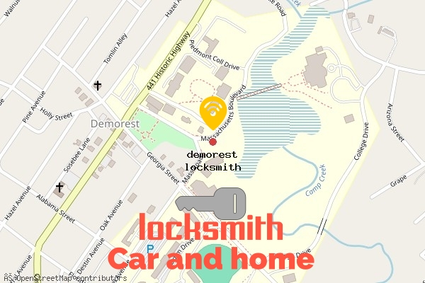 locksmith in demorest