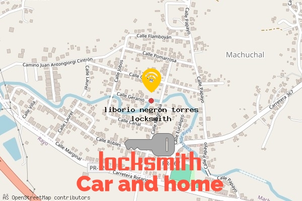locksmith in liborio negron torres