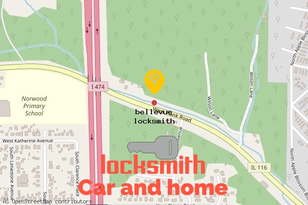 locksmith in bellevue il