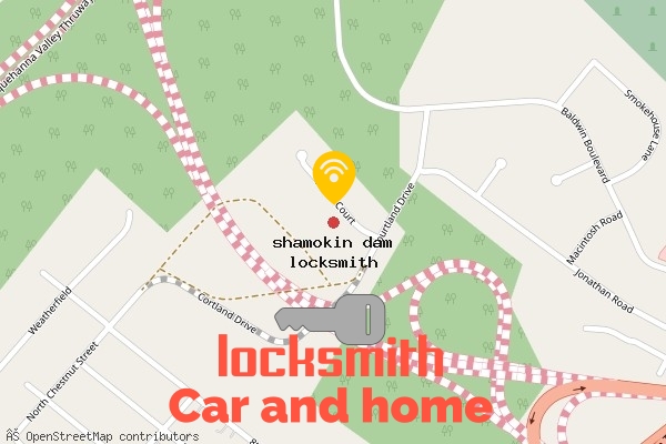 locksmith in shamokin dam