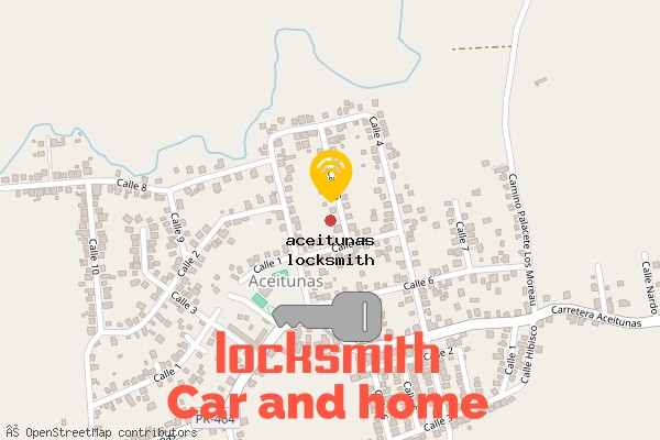 locksmith in aceitunas