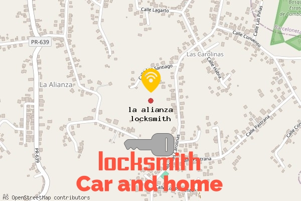 locksmith in la alianza