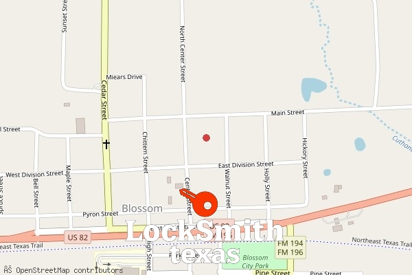 locksmith in blossom