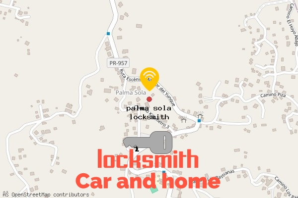locksmith in palma sola