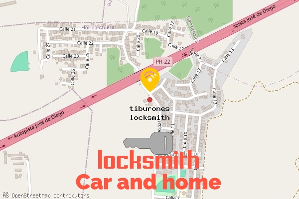 locksmith in tiburones