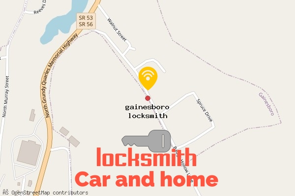 locksmith in gainesboro