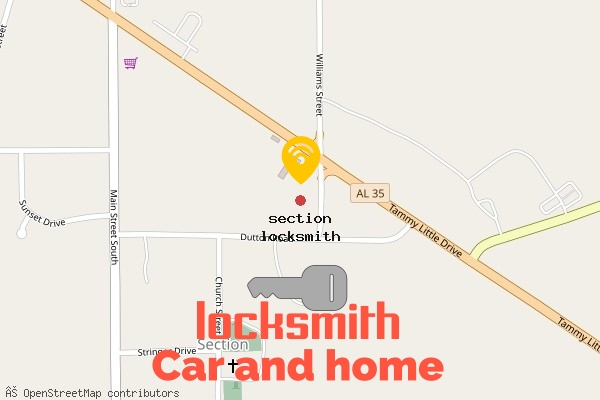 locksmith in section