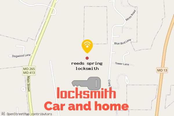 locksmith in reeds spring