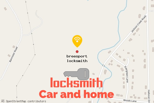 locksmith in breesport
