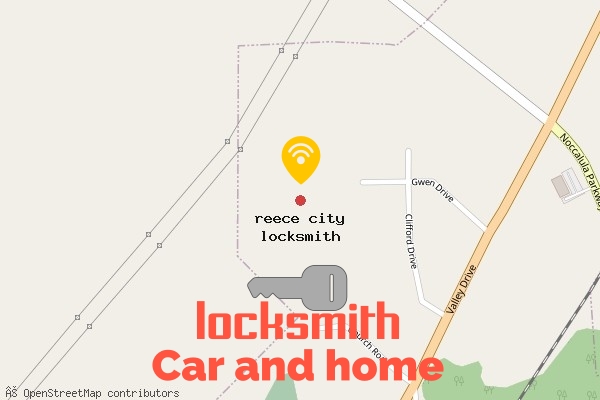 locksmith in reece city