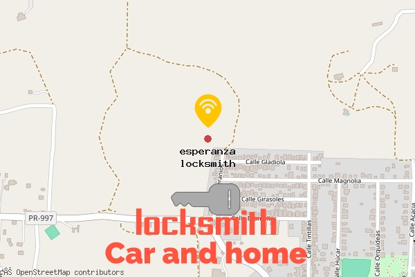 locksmith in esperanza