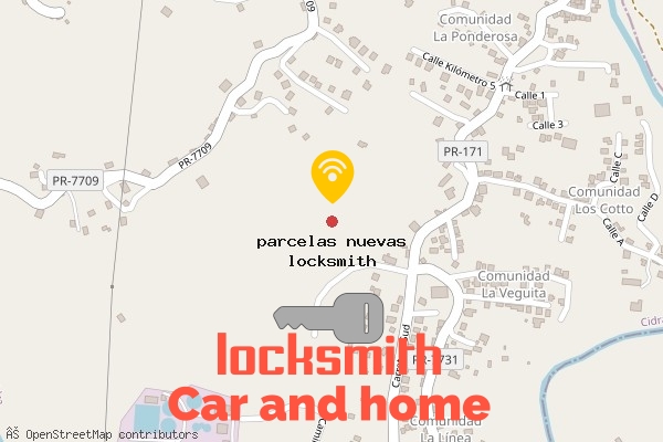 locksmith in parcelas nuevas