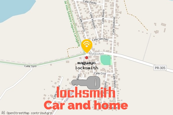 locksmith in maguayo