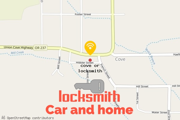 locksmith in cove or
