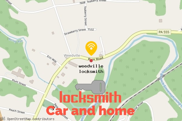 locksmith in weedville