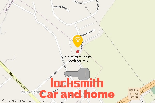 locksmith in plum springs
