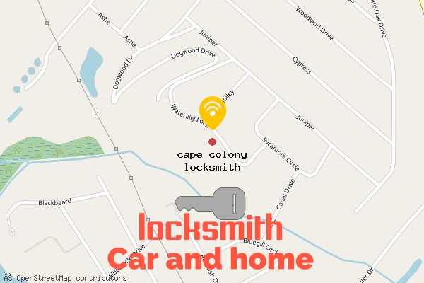locksmith in cape colony