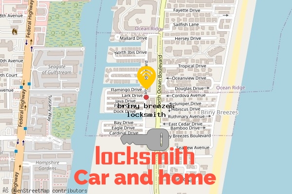 locksmith in briny breezes