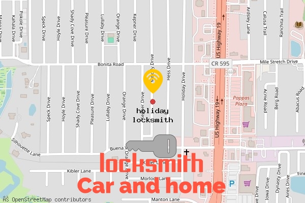 locksmith in holiday