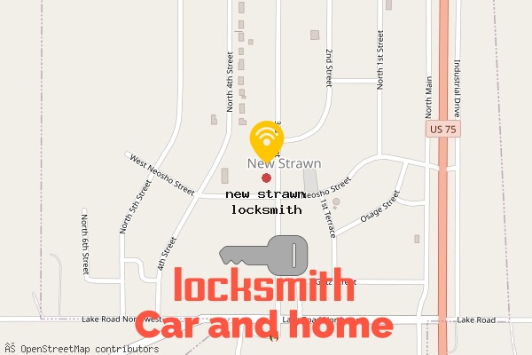 locksmith in new strawn