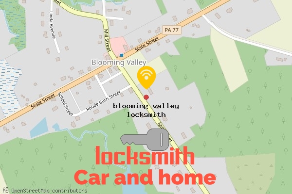 locksmith in blooming valley