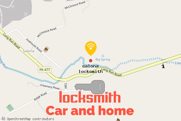 locksmith in salona