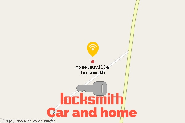 locksmith in moseleyville