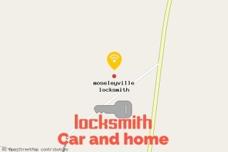 locksmith inmoseleyville - locksmith in moseleyville