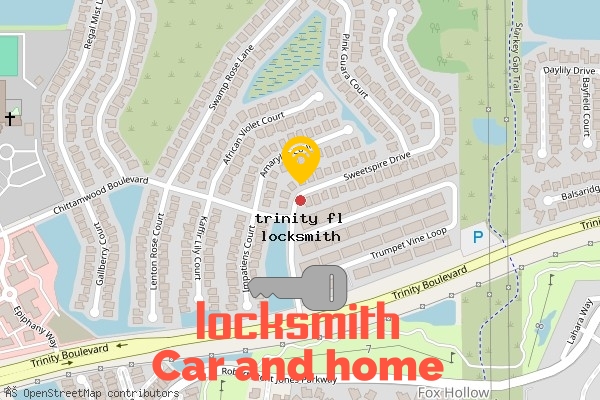 locksmith in trinity fl