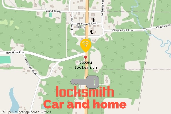 locksmith in toxey
