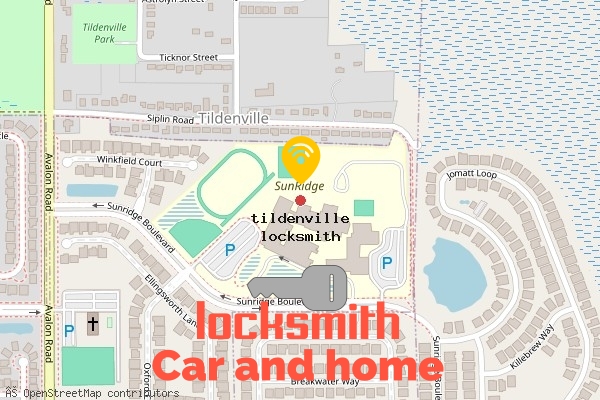 locksmith in tildenville