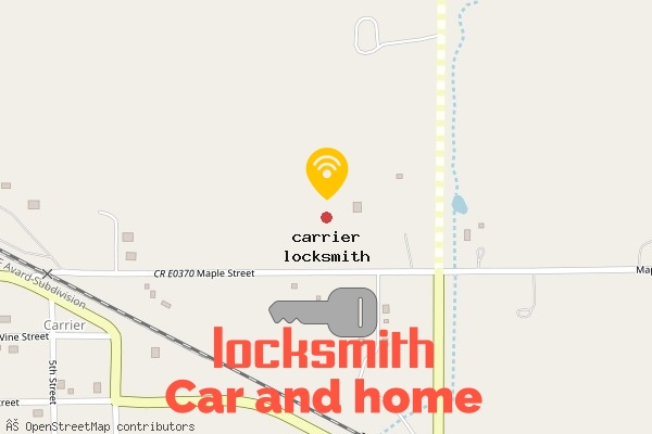locksmith in carrier