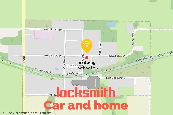 locksmith in bushong