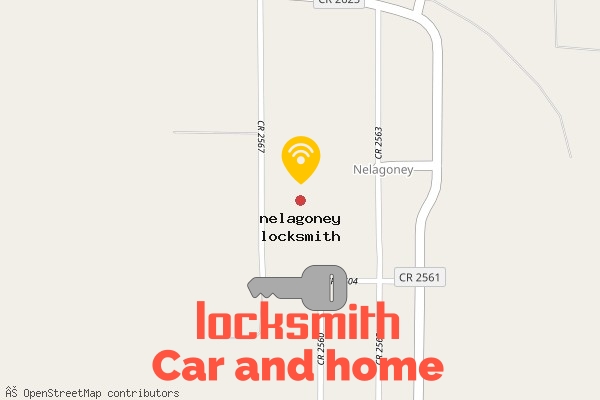 locksmith in nelagoney