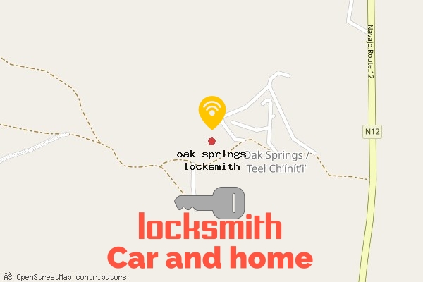 locksmith in oak springs