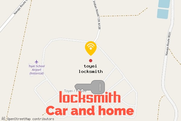 locksmith in toyei