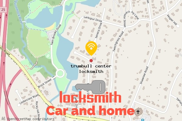 locksmith in trumbull center