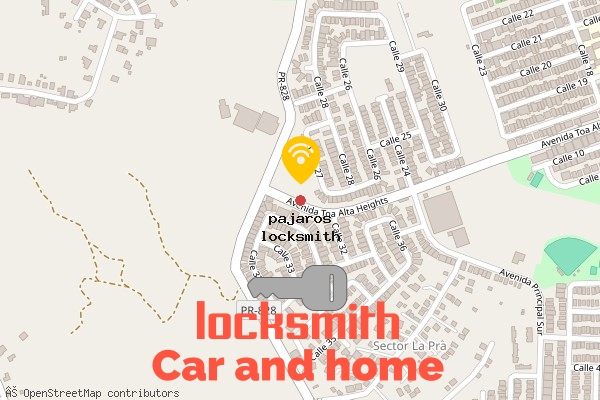 locksmith in pajaros