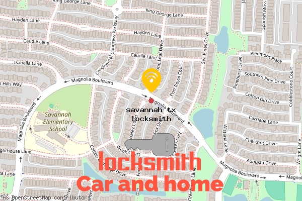 locksmith in savannah tx