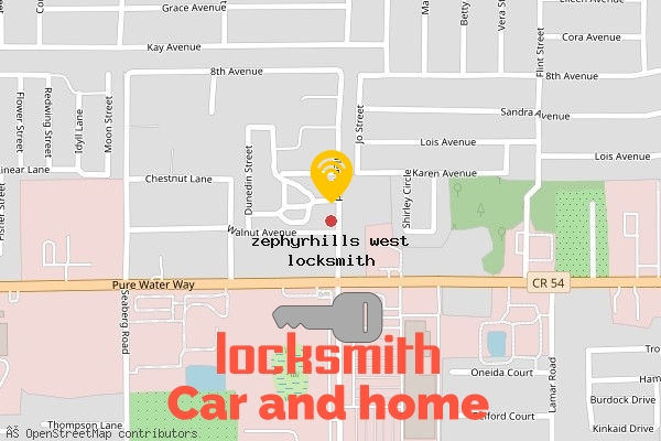 locksmith in zephyrhills west
