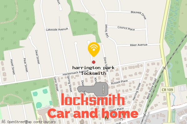 locksmith in harrington park