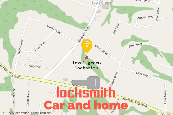 locksmith in level green
