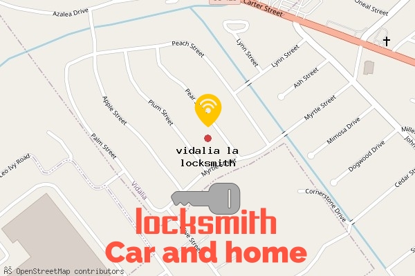 locksmith in vidalia la