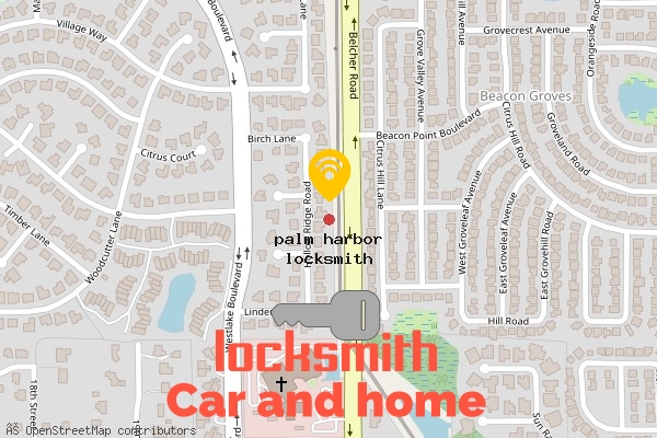 locksmith in palm harbor