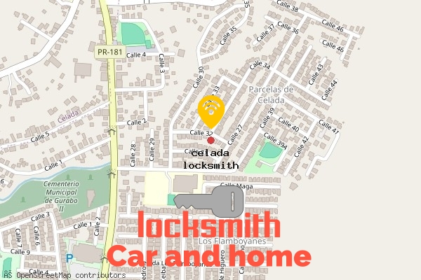locksmith in celada