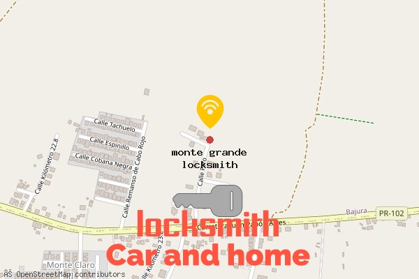 locksmith in monte grande