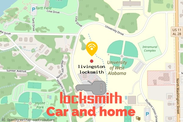 locksmith in livingston al