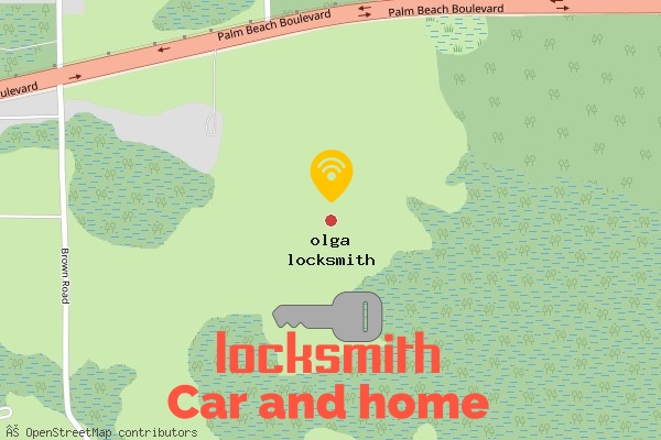 locksmith in olga